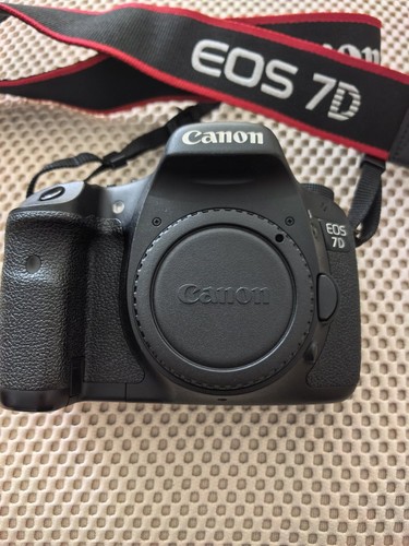 Cinghia corpo fotocamera - , canon